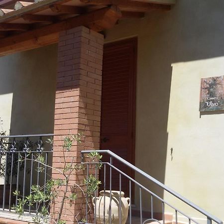 Le Camere di Nonna Mara Montescudaio Exterior foto